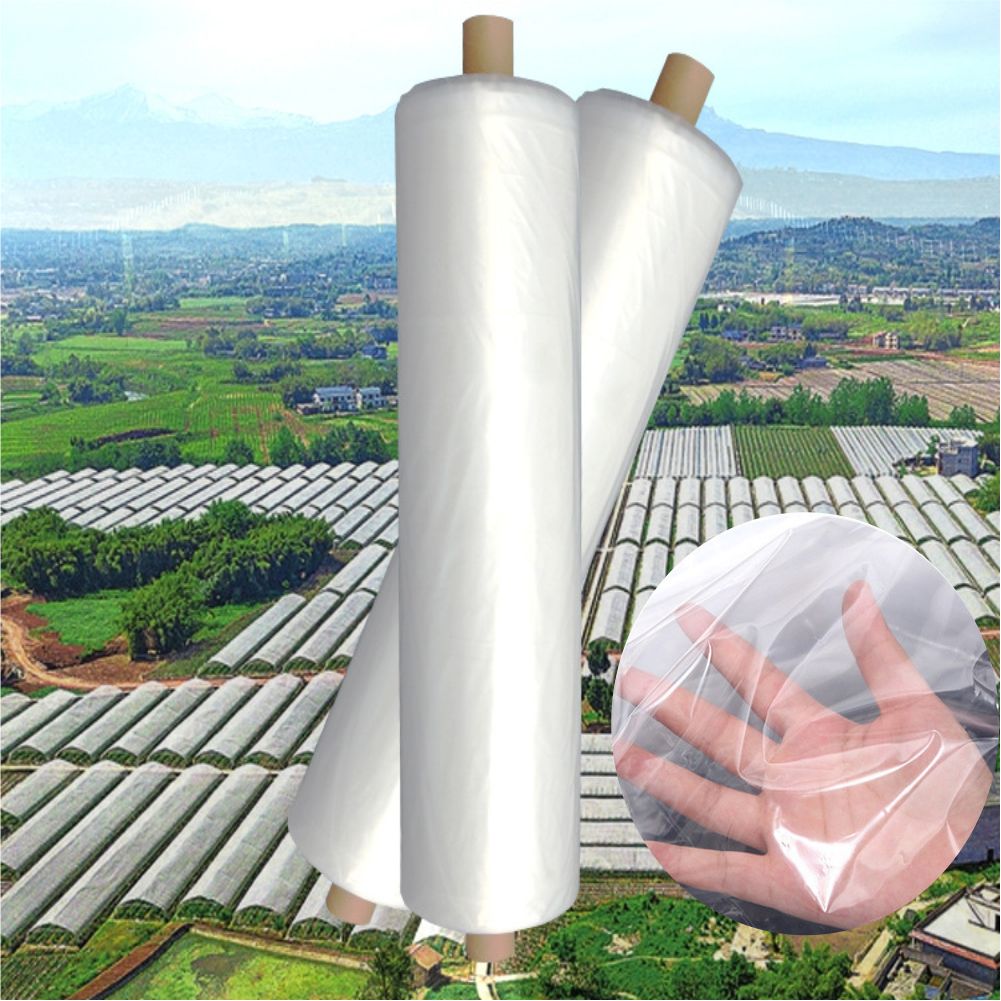 Greenhouse Plastic Film - Pertanian Pertanian Rumah Kaca Film Plastik