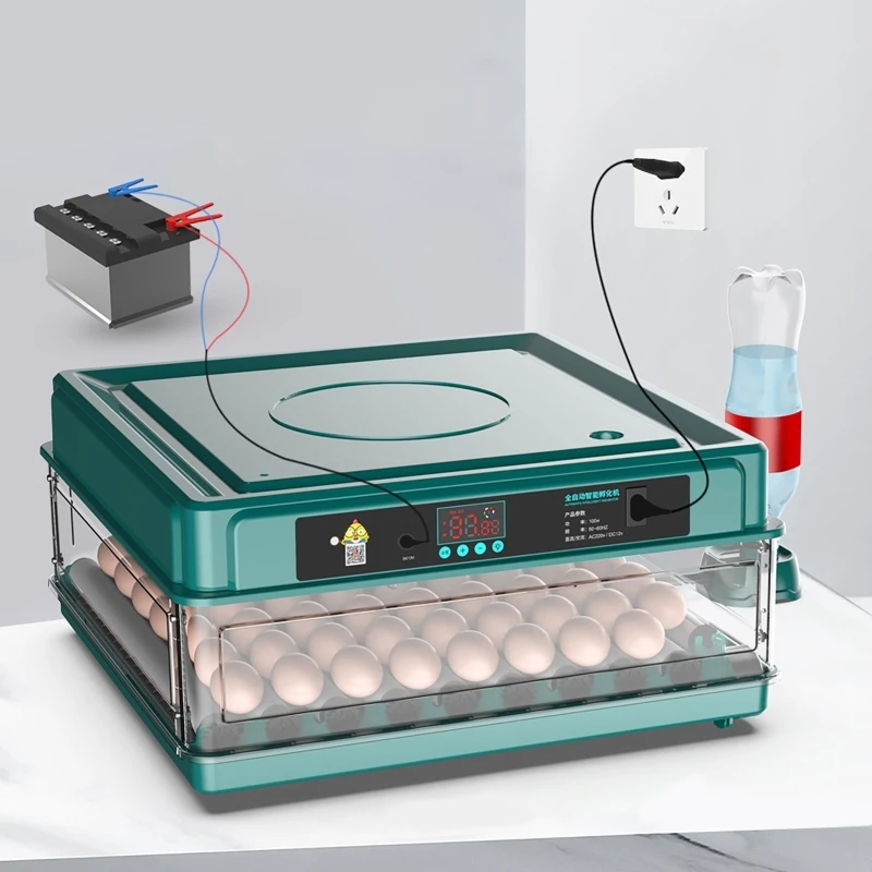 Quail Egg Incubator - Inkubator 12 24 38 telur kontrol