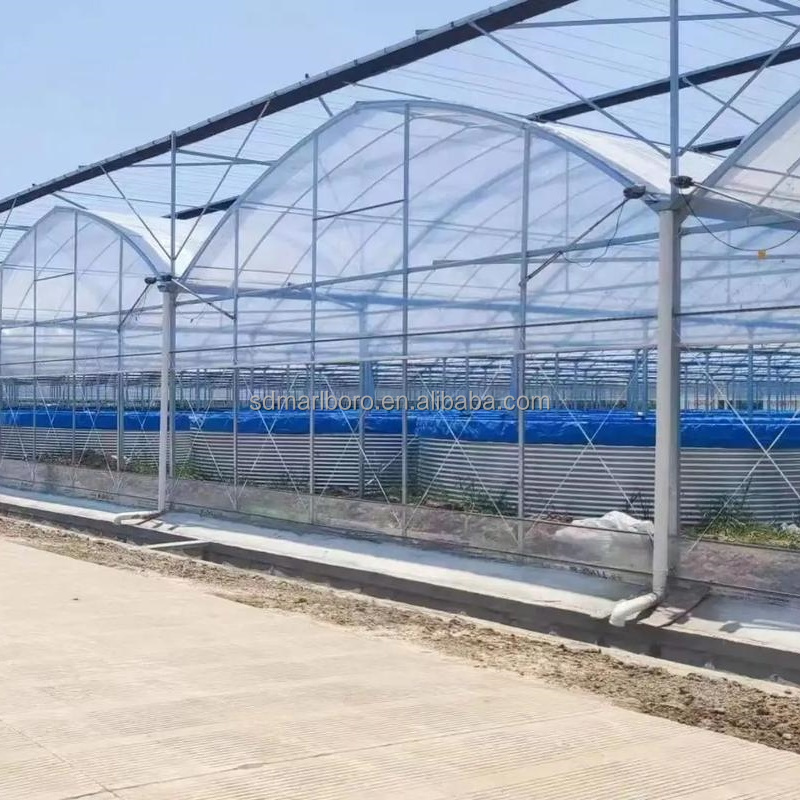 AIROW SDM Pelapis Kolam Ikan P - Farm Pond Liner ulasan dan harga