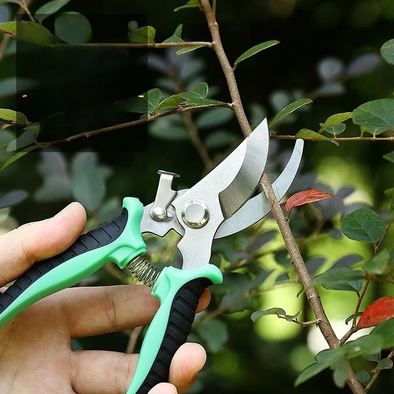 Pemangkas Bonsai Profesional - - Agriculture Farming Professional ulasan dan harga