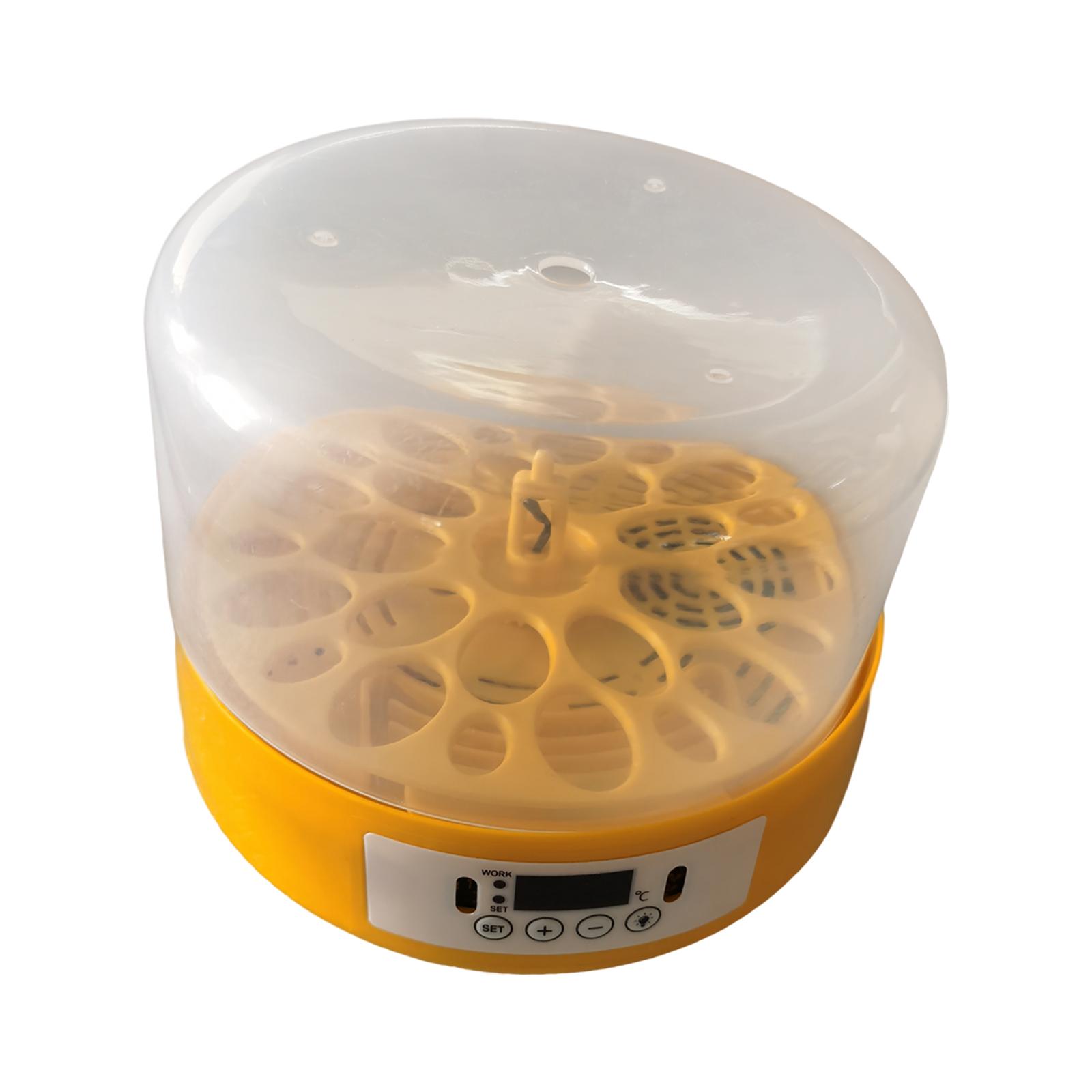 Mesin Penetas Telur Otomatis d - Quail Egg Incubator ulasan dan harga