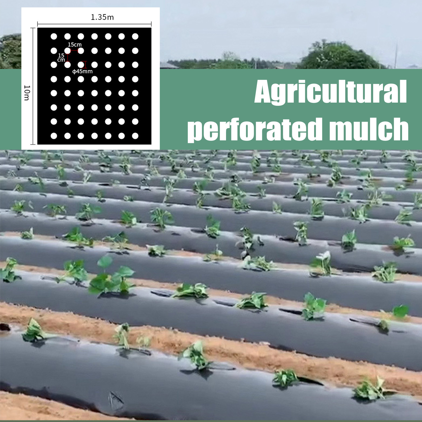 Film Mulsa Berlubang PE Perlen - Greenhouse Plastic Film ulasan dan harga