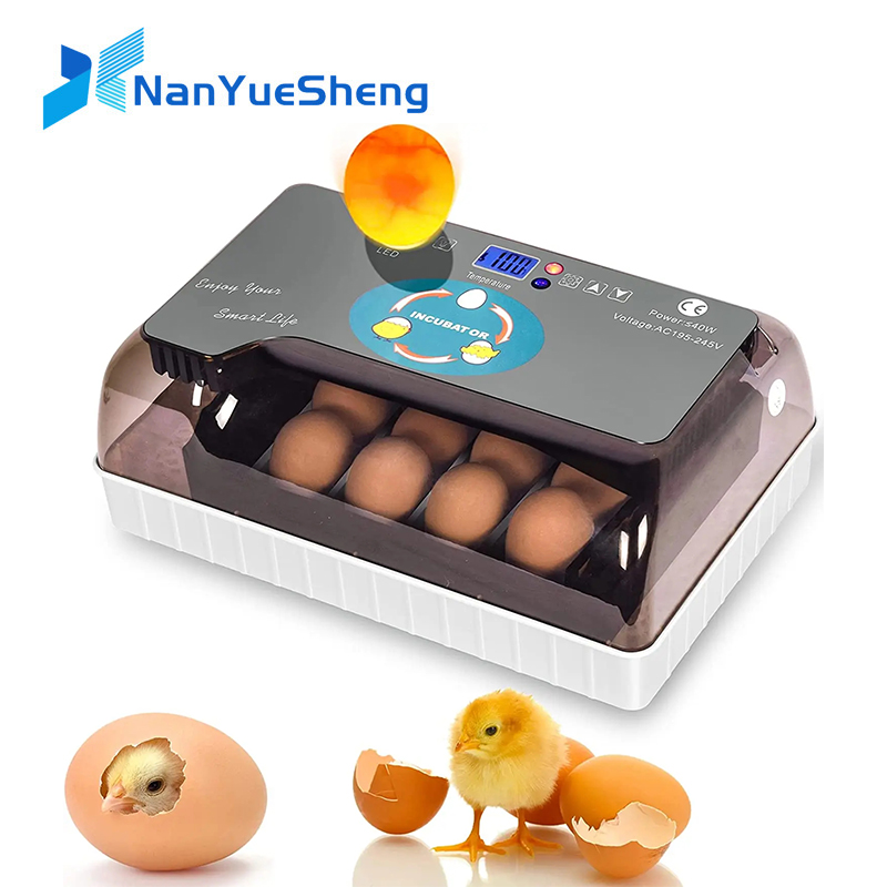Otomatis HHD Terbaik Digital 1 - Quail Egg Incubator ulasan dan harga