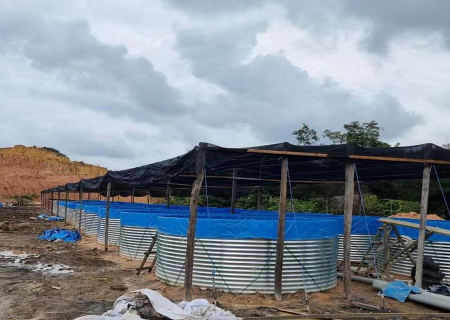 AIROW SDM Pvc Canvas Pelapis K - Farm Pond Liner ulasan dan harga