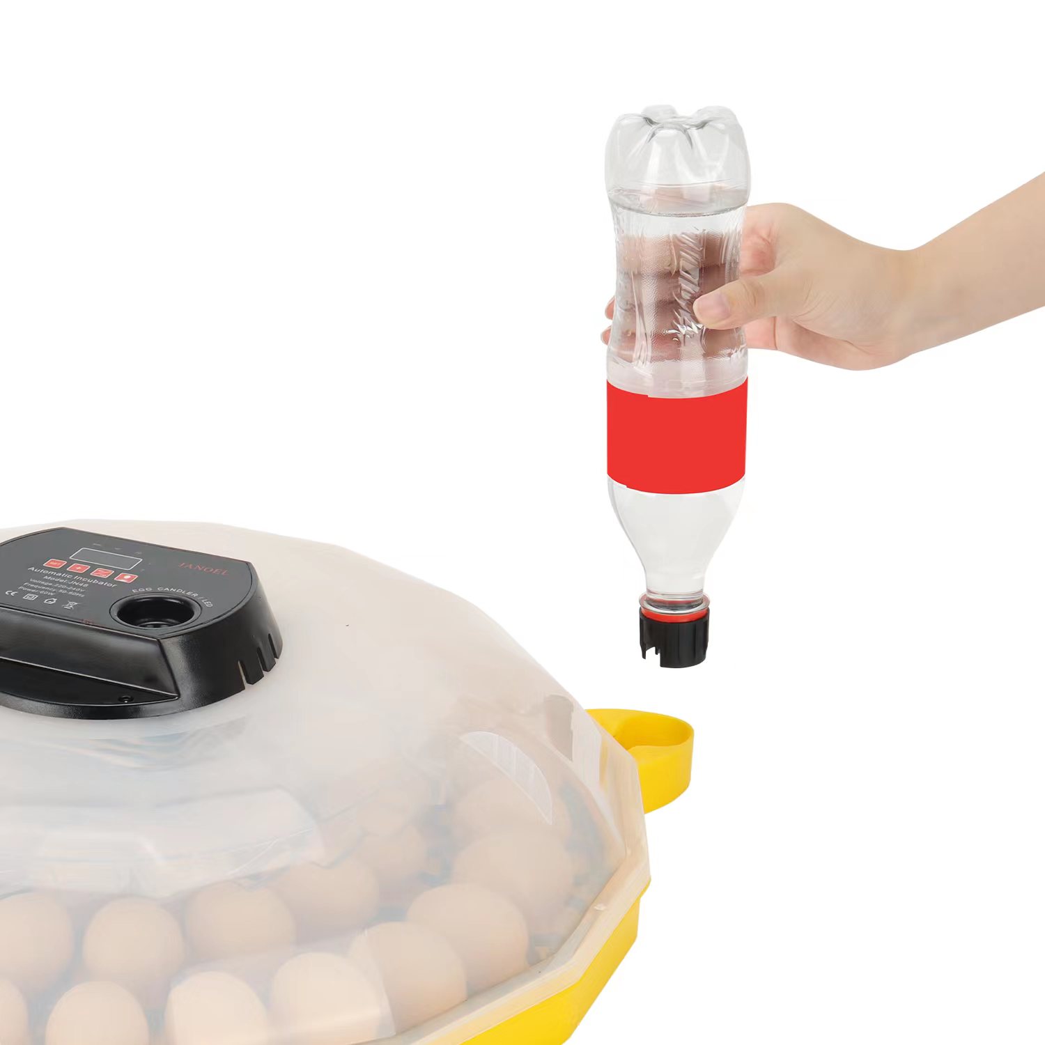 Inkubator Telur Mini dengan Ti - Quail Egg Incubator ulasan dan harga