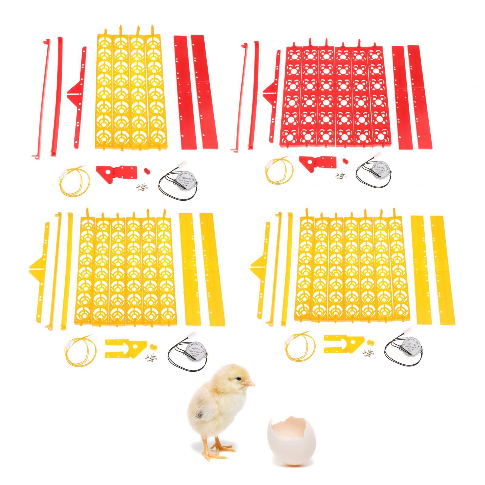 Baki Inkubator Telur Plastik O - Quail Egg Incubator ulasan dan harga